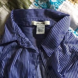 Blue Striped Long Sleeve Button Down